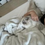 Kaori Oinuma Instagram - hellö 👋 new vlog is 🆙