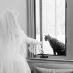 Kat Dennings Instagram – cats always find me