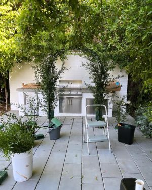 Kat Dennings Instagram - My building of the floral arch! Three days of literal blood, sweat and tears. There was also some broken glass. Shout out to @barbrastreisand and her audiobook for getting me through several breakdowns on the way to the final magical moment 🌿💕