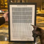 Kat Von D Instagram - ZOOM IN 🖤This is my life broken down into 4160 weeks. Each little box represents one week of life! Something as simple as this life calendar serves as a reminder that life is short and to make the best of each day. Thank you @stoicreflections for this beautiful visualization that each day of life is a gift. “It is not that we have a short time to live, but that we waste much of it.” -Seneca