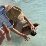 Kate Upton Instagram - I swear I’m good with animals… #FashionVsReality #TBT