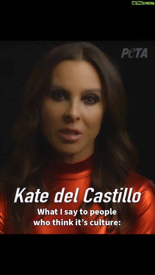 Kate del Castillo Instagram - People who think bullfighting is a culture are mistaken. Bullfighting is not culture; it's torture. Humiliating, mutilating, and killing animals is abuse, violence, and cruelty. Let's put an end to this horrible practice and let the bulls live in peace. Say NO to bullfighting. 🚫🐂💔 #SanFermin #Pamplona #peta #animal #rights #notobullfighting #torturenotculture @officialpetalatino @peta