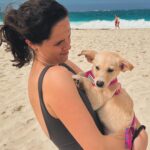 Katie Couric Instagram - Ellie, Carrie and I spent five days in the @turksandcaicos which has become a holiday tradition for us. This year was made even more special because of @potcakeplacek9rescue which takes in stray puppies and dogs and allows visitors to the island to walk them for a couple of hours in the morning. We fell in love with this puppy named ZZ. He came into the shelter in very bad condition—three of his siblings were lost, so the volunteers named the three survivors after BEYONCE—BB, JJ and ZZ. We thought about bringing ZZ home but we have so much travel planned we ultimately decided against it. Jane Parker-Rauw wrote us the sweetest email. “We get a lot of lovely families through our doors just like yours who want to help and quite often that help doesn’t come in adopting a dog. People can help in so many other ways.” Jane said her goal is to control the population through spay/neuter programs, adoption and education. She goes to schools in her “spare time” and talks about animal welfare. “There is no shelter here in The Turks and Caicos Islands and so all of these pups and dogs are looked after in volunteer homes. We keep them until they get adopted. No exceptions.” She went on to say, “We are 100% financed by donations, be it through financial donations to pay the huge dog food bills, vet bills and to keep the lights on, or by bringing down donations in the way of donated vet supplies, toys, puppy formula, pee pee pads, towels and even newspapers to line the crates. I used to get excited about a man bringing me flowers.. Now it’s pee pee pads and newspapers. How times change!” I wanted to take a moment to thank Jane and all the volunteers at Potcake Place (like Abby who was so nice!) for everything they do to help the animals on @turksandcaicos_official. “Nobody can do everything,” Jane wrote, “but everyone can do something.” I will be sending a donation. If you’re in the Turks, stop by and give these puppies a hug and a walk! 🐶 🐕 ❤️ Turks And Caicos