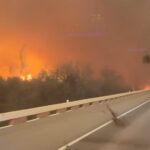 Katie Couric Instagram - 🚨The Smokehouse Creek fire, a fast-moving wildfire burning through the Texas Panhandle, grew into the second-largest blaze in state history Wednesday, forcing evacuations and triggering power outages as firefighters struggled to contain the widening flames. The fire had spread quickly to at least 500,000 acres since igniting on Monday, fueled by strong winds and dry conditions, and was uncontrolled, according to the Texas A&M Forest Service. Gov. Greg Abbott issued a disaster declaration on Tuesday for 60 counties, activating state resources to help local firefighters and urged residents to limit activities that could create sparks. In Oklahoma, local officials told some residents of Ellis and Roger Mills counties, near the state’s western border with Texas, to leave. Near Amarillo, a wildfire was burning north of Pantex, a plant that disassembles nuclear weapons, officials said. The plant paused operations and ordered nonessential personnel to evacuate. This is a developing story with updates to come. 🎥: @storyfulvideo #wildfires #weather #texas #news