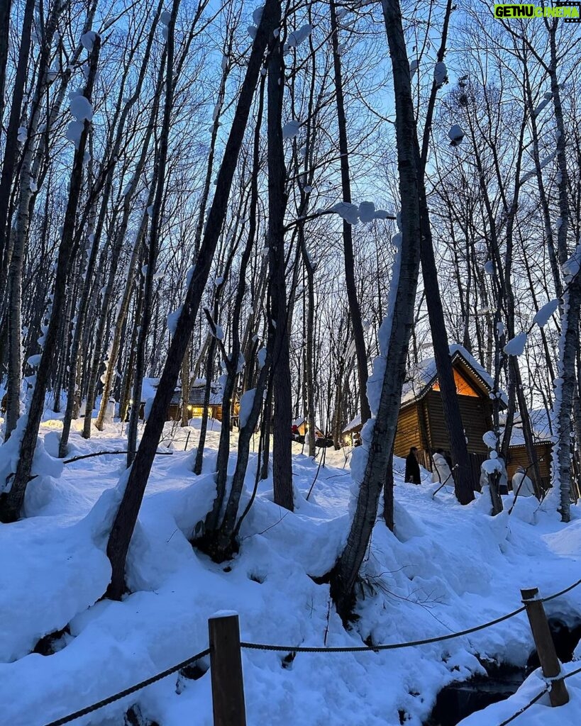 Katsamonnat Namwirote Instagram - You are not alone , You are the cherry on top 🍒🌲 Furano, Hokkaido