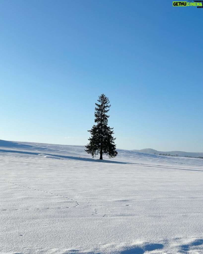 Katsamonnat Namwirote Instagram - You are not alone , You are the cherry on top 🍒🌲 Furano, Hokkaido