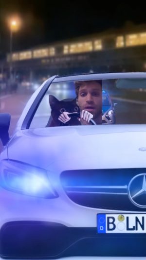 Keegan Allen Instagram - What the cat doin