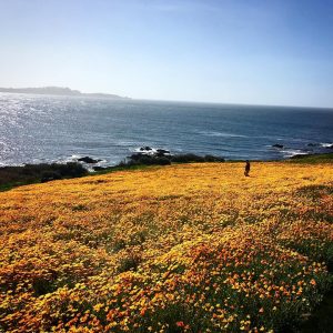 Kelly Rohrbach Instagram - 🌻🌻🌻