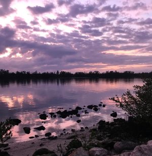 Kelly Rohrbach Instagram - 🙌🏻💗 Mother Nature wearing my favorite color!