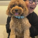 Ken Jeong Instagram - 🧡🤗🐾