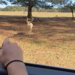 Kendall Vertes Instagram - Snow white and her prince Lake Hartwell Wildlife Safari