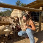 Kendall Vertes Instagram - Snow white and her prince Lake Hartwell Wildlife Safari