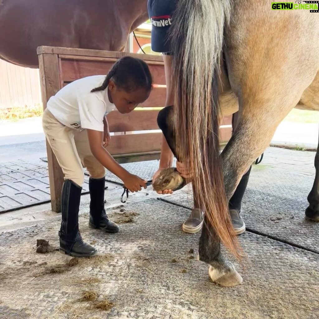 Keshia Knight Pulliam Instagram - My big girl has officially started riding lessons & I am so proud!! Like me, she loves horses. Ella has been asking to start taking lessons for the past 2 years. Most don’t know that I graduated from @foxcroftschool . In high school I competed on the riding team and rode almost every day. I’m happy that I now have a little riding partner. ❤️ #HorsesComingSoonToOurFarm