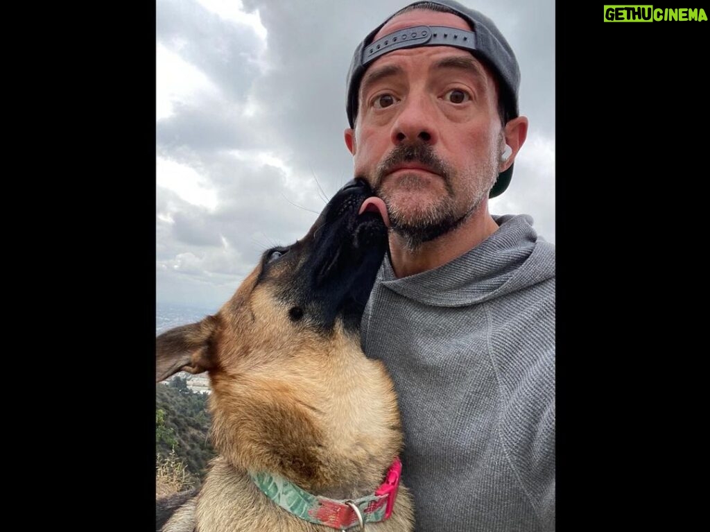 Kevin Smith Instagram - Birdie offers her unique brand of encouragement for a @runyoncanyon hike. #KevinSmith #dogsofinstagram #germanshepherd