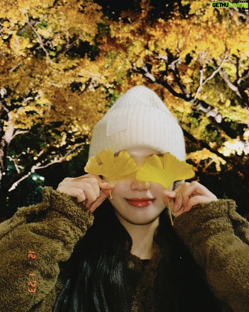 Kim Chae-won Instagram - 🍁🎄