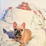 Kim Chi Instagram - Sleeping on the fluffy wave hybrid snow @casper mattress feels like I’m in a dream, laying on fluffy bed of clouds and I’m sure my puppy pal Butter agrees with me too! #gifted