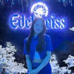 Kim Hye-yoon Instagram - #AD @edelweiss_kr 에델바이스 FEEL THE ALPS 팝업스토어 💙 그 어디에서도 경험하지 못했던 특별하고 감각적인 여정을 함께하세요! 기간 : 2023년 6월 2일(금) – 7월 9일(일) 장소 : 서울 강남구 압구정로50길 13 ※경고: 지나친 음주는 뇌졸중, 기억력 손상이나 치매를 유발합니다. 임신 중 음주는 기형아 출생 위험을 높입니다. #에델바이스 #FEELTHEALPS #에델바이스팝업 #나만을위한한잔 #FEELTHEALPSINAPGUJUNG #edelweiss