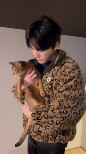 Kim Jae-joong Instagram - ここ、ねこ、ここは、どこ？