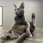 Kim Min-gue Instagram - 😼