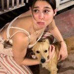 Kira Kosarin Instagram - happy NYE from me & the the many puppies of Barbados I may or may not be trying to figure out how to take home in my suitcase 🌴☀️🇧🇧 Barbados, Caribbean