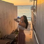 Kira Kosarin Instagram - happy NYE from me & the the many puppies of Barbados I may or may not be trying to figure out how to take home in my suitcase 🌴☀️🇧🇧 Barbados, Caribbean