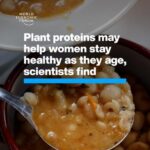 Klaus Schwab Instagram - Those who ate more plant proteins in midlife were 46% less likely to have chronic disease. The World Economic Forum's Centre for Health and Healthcare is committed to pioneering strategies that enhance global healthcare. Tap the link in our bio to learn more.