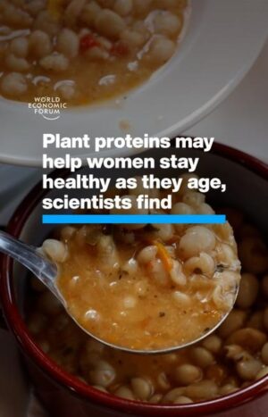 Klaus Schwab Instagram - Those who ate more plant proteins in midlife were 46% less likely to have chronic disease. The World Economic Forum's Centre for Health and Healthcare is committed to pioneering strategies that enhance global healthcare. Tap the link in our bio to learn more.