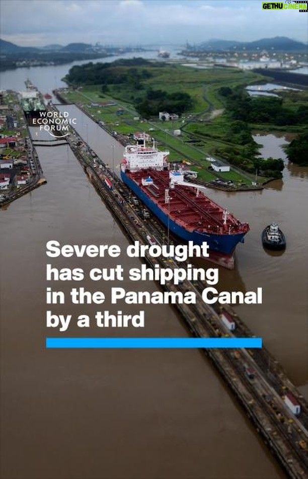 Klaus Schwab Instagram - Severe drought has cut shipping in the Panama Canal by 36%. Experts say climate change could radically affect global economic growth in the coming years. Learn more in the World Economic Forum's Global Risks Report by tapping on the link in our bio. #risks24