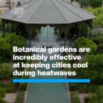 Klaus Schwab Instagram - The cooling effect of green spaces in cities is well-known, but which type of green space does it best? Learn more about how climate change will reshape health landscapes over the coming years from the Forum’s report ‘Quantifying the Impact of Climate Change on Human Health’ by tapping on the link in our bio.