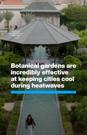 Klaus Schwab Instagram - The cooling effect of green spaces in cities is well-known, but which type of green space does it best? 

Learn more about how climate change will reshape health landscapes over the coming years from the Forum’s report ‘Quantifying the Impact of Climate Change on Human Health’ by tapping on the link in our bio.