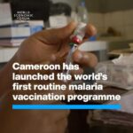 Klaus Schwab Instagram – This world-first malaria vaccine rollout in Africa could save thousands of young lives. 

Learn more from the World Economic Forum’s insight report, ‘Quantifying the Impact of Climate Change on Human Health’ by tapping on the link in our bio.