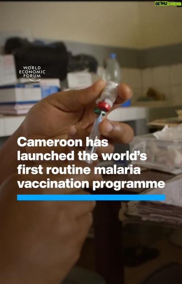 Klaus Schwab Instagram - This world-first malaria vaccine rollout in Africa could save thousands of young lives. Learn more from the World Economic Forum’s insight report, ‘Quantifying the Impact of Climate Change on Human Health’ by tapping on the link in our bio.