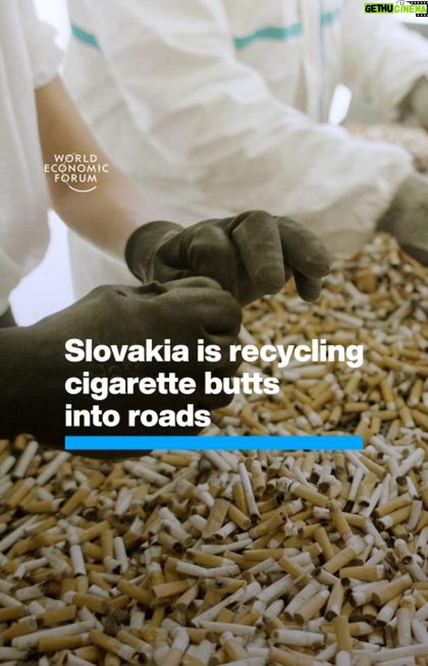 Klaus Schwab Instagram - Only a third of the 18 billion cigarettes smoked daily are disposed of properly. The World Economic Forum has launched the Global Plastic Action Partnership to make sure commitments to reduce plastic waste are put into action. Learn more by tapping on the link in our bio. @terracycle @ecobutt.recycling