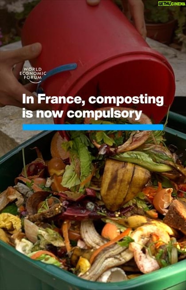 Klaus Schwab Instagram - It is now compulsory for all homes and businesses in France to recycle their organic waste. The World Economic Forum’s Food Innovation Hubs Global Initiative is working to make food systems more nutritious, resilient and environmentally sustainable. Learn more by tapping on the link in our bio.