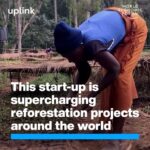 Klaus Schwab Instagram – This solution helps ensure local reforestation projects thrive. 

Discover more innovative solutions for restoring the world’s forests, on UpLink by tapping the link in our bio. 

@treeapp @morfo.rest @funga_pbc @terraformationhawaii
@wilderclimatesolutions @growtrees_global
@globalterraform @Groasis @Terrasos_Co
@sankalptaru_foundation @blueforest_impact

@wefuplink @1t_org, @ecopetroloficial, @inside_ericsson, @MahindraRise, @Rabobank , @socialalpha_in, @takingroot_reforestation_

 #WEF24 #TrillionTrees #TechForGood #SDG15