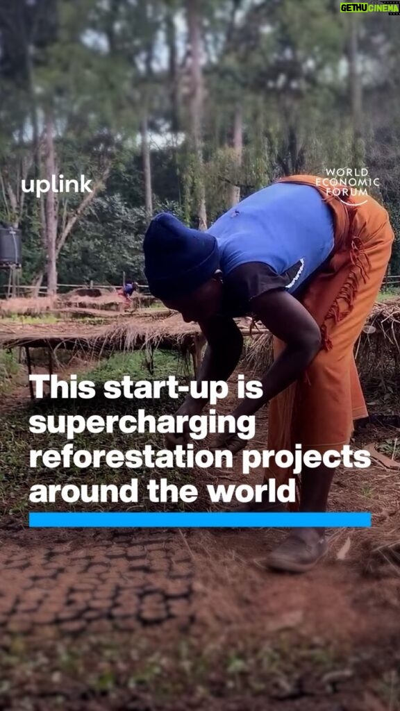 Klaus Schwab Instagram - This solution helps ensure local reforestation projects thrive. Discover more innovative solutions for restoring the world’s forests, on UpLink by tapping the link in our bio. @treeapp @morfo.rest @funga_pbc @terraformationhawaii @wilderclimatesolutions @growtrees_global @globalterraform @Groasis @Terrasos_Co @sankalptaru_foundation @blueforest_impact @wefuplink @1t_org, @ecopetroloficial, @inside_ericsson, @MahindraRise, @Rabobank , @socialalpha_in, @takingroot_reforestation_ #WEF24 #TrillionTrees #TechForGood #SDG15
