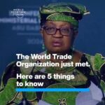 Klaus Schwab Instagram - The World Trade Organization has admitted its two newest members. Tap on the link in our bio to find out what we learned about the future of trade at the 13th Ministerial Conference. @worldtradeorganization