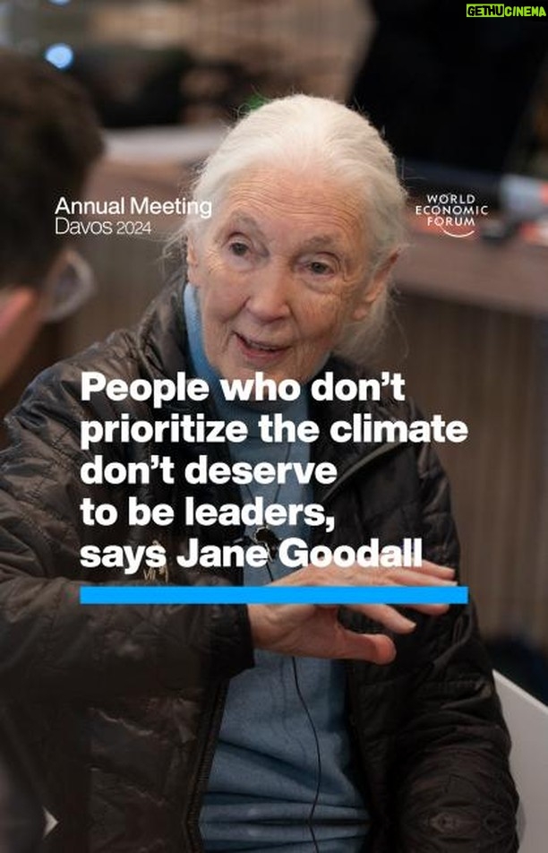 Klaus Schwab Instagram - This renowned primatologist has 4 reasons to be hopeful for the future. Learn more about biodiversity and nature-positive economies by tapping the link in our bio. For the latest discussions from Davos on combatting the climate crisis, follow #wef24 on our channels. @janegoodallinst