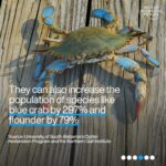 Klaus Schwab Instagram - Oysters are crucial to marine life. But as ocean acidification intensifies, the oyster's future hangs in the balance – and with it, environmental and economic ecosystems. Learn more about the efforts to protect the world’s oysters - and why they are important by tapping the link in our bio.