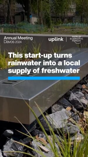 Klaus Schwab Instagram - This solution captures, filters and stores 95% of rainwater. 

Find more innovative solutions for building water security, on @wefuplink by tapping the link in our bio.

#WEF24 #water #sdg6

@aquakitbolivia @kran_nb @fieldfactors @seabex @Bhungroo 

@wefuplink - @hcl_enterprise - @hcltech - @bainandcompany - @ifc_org - @algaemanagement - @JacobsConnects - @bayerofficial - @acwapower