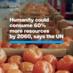 Klaus Schwab Instagram - Demand for crops, metals and other resources has tripled in the past half-century. Disruption to supply chains for goods and resources are one of the top risks facing the world, according to the World Economic Forum’s Global Risks Report 2024. Learn more by tapping on the link in our bio. @unitednations