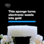 Klaus Schwab Instagram - From twenty old computer motherboards, it recovered a 450-milligram nugget. Learn more about the role of critical minerals in the World Economic Forum's Securing Minerals for the Energy Transition report by tapping the link in our bio. @mint.bio @ethzurich #sustainability