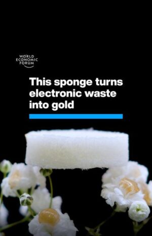 Klaus Schwab Instagram - From twenty old computer motherboards, it recovered a 450-milligram nugget.

Learn more about the role of critical minerals in the World Economic Forum's Securing Minerals for the Energy Transition report by tapping the link in our bio.

@mint.bio @ethzurich #sustainability