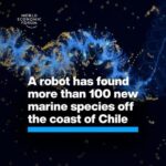 Klaus Schwab Instagram - Nearly half the species living in this mysterious underwater mountain range are found nowhere else on Earth. The World Economic Forum's Ocean Action Agenda is committed to fast-tracking solutions that protect and restore ocean life. Learn more by tapping on the link in our bio.
