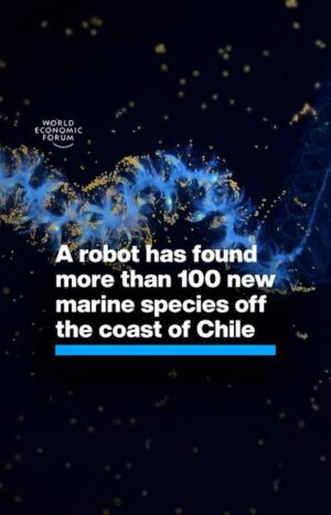 Klaus Schwab Instagram - Nearly half the species living in this mysterious underwater mountain range are found nowhere else on Earth. 

The World Economic Forum's Ocean Action Agenda is committed to fast-tracking solutions that protect and restore ocean life. Learn more by tapping on the link in our bio.