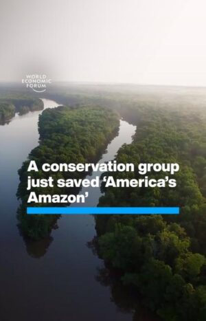 Klaus Schwab Instagram - One of the world’s most ecologically diverse places now has long-term protection. 

Biodiversity loss and ecosystem collapse are among the greatest long-term risks facing the world. Learn more from the World Economic Forum’s Global Risks Report by tapping on the link in our bio.