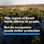 Klaus Schwab Instagram - The Cerrado, an ecoregion in Brazil that's home to 5% of the Earth's species, is under threat from unsustainable farming practices. Learn more about efforts to protect the world's most biodiverse savanna by tapping on the link in our bio.