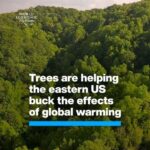 Klaus Schwab Instagram - Responsible reforestation is one of the most effective ways to mitigate climate change. The World Economic Forum’s 1t.org initiative is working to conserve, restore and grow a trillion trees by 2030 for people, biodiversity and the planet. Learn more by tapping on the link in our bio.