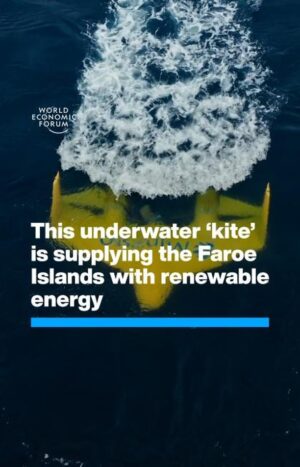 Klaus Schwab Instagram - It ‘flies’ in a figure-of-8 pattern against the tidal flow. 

The World Economic Forum’s Clean Power, Grids and Electrification initiative is focused on delivering a rapid and responsible energy transition. Learn more by tapping on the link in our bio.