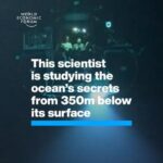 Klaus Schwab Instagram - Could the deep ocean contain answers to humanity’s most pressing problems? Watch the full session of ‘Live from the Deep Sea’ at #wef24 by tapping the link in our bio. @oceanx @diva_amon @benioffoceansciencelab